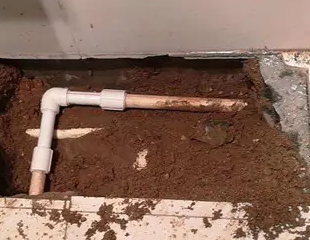 宁波测漏水哪家好